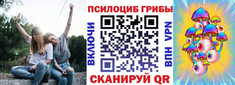 цена   Альметьевск  Галлюциногенные грибы Cubensis 